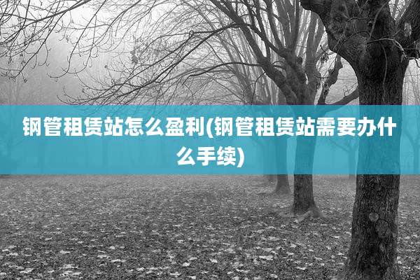 钢管租赁站怎么盈利(钢管租赁站需要办什么手续)