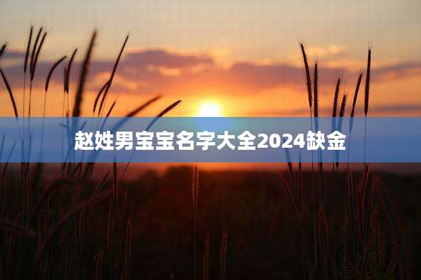 赵姓男宝宝名字大全2024缺金