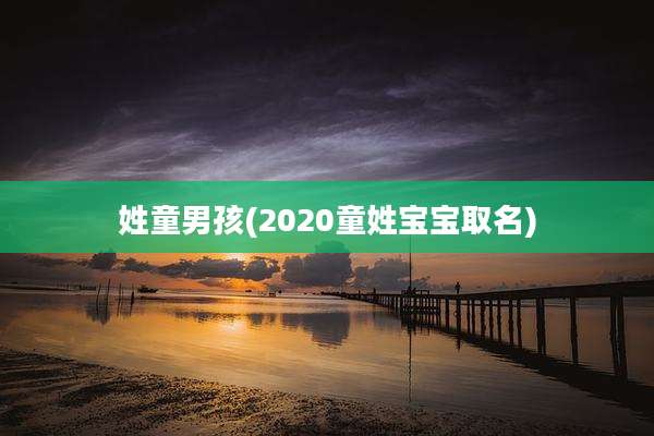 姓童男孩(2020童姓宝宝取名)
