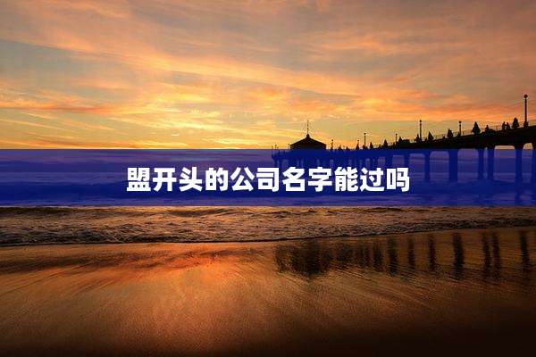 盟开头的公司名字能过吗