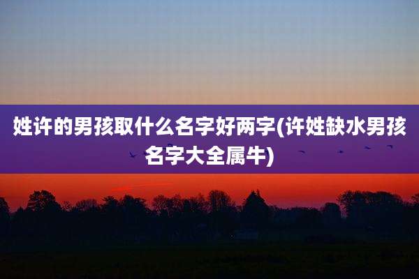 姓许的男孩取什么名字好两字(许姓缺水男孩名字大全属牛)