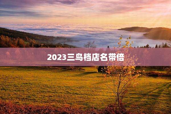 2023三鸟档店名带倍