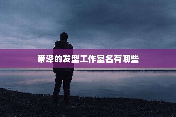 带泽的发型工作室名有哪些