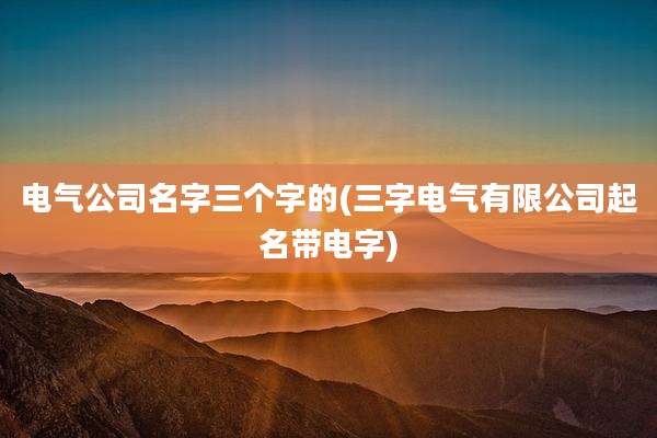 电气公司名字三个字的(三字电气有限公司起名带电字)
