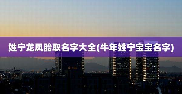 姓宁龙凤胎取名字大全(牛年姓宁宝宝名字)