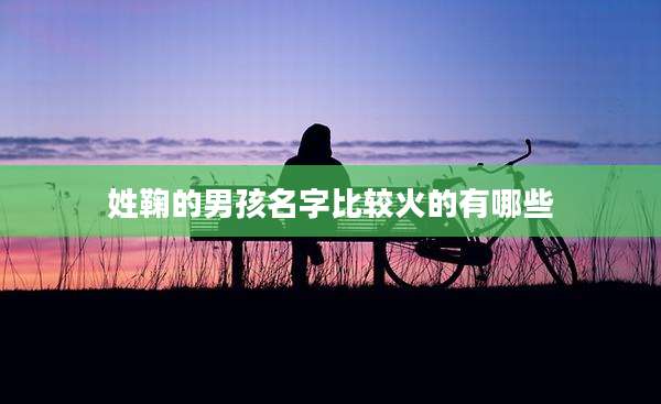 姓鞠的男孩名字比较火的有哪些