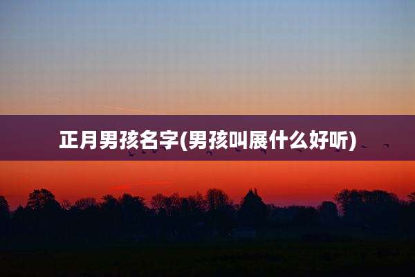 正月男孩名字(男孩叫展什么好听)