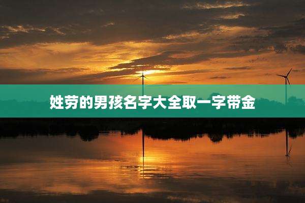 姓劳的男孩名字大全取一字带金