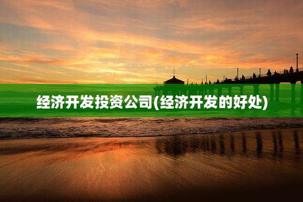 经济开发投资公司(经济开发的好处)