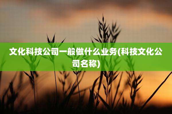 文化科技公司一般做什么业务(科技文化公司名称)