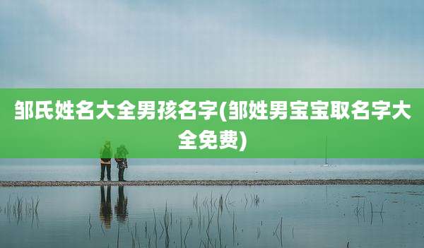 邹氏姓名大全男孩名字(邹姓男宝宝取名字大全免费)