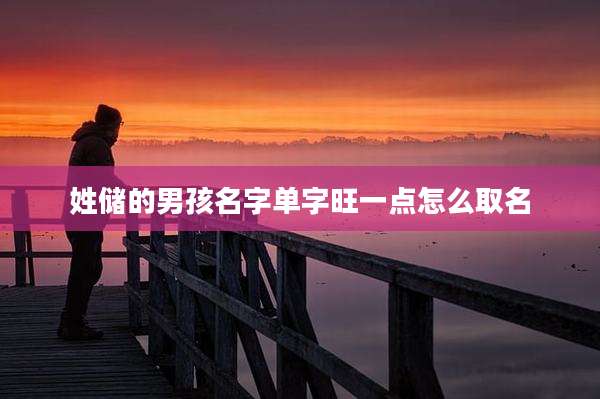 姓储的男孩名字单字旺一点怎么取名