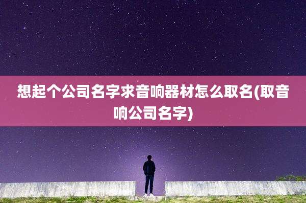 想起个公司名字求音响器材怎么取名(取音响公司名字)
