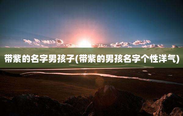 带紫的名字男孩子(带紫的男孩名字个性洋气)