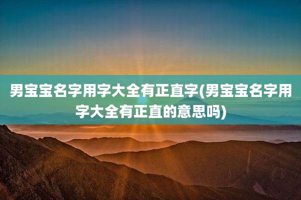 男宝宝名字用字大全有正直字(男宝宝名字用字大全有正直的意思吗)