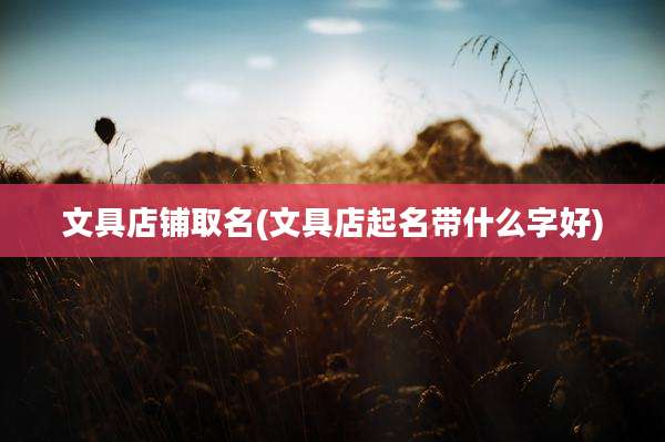 文具店铺取名(文具店起名带什么字好)