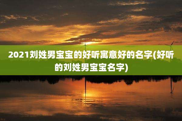 2021刘姓男宝宝的好听寓意好的名字(好听的刘姓男宝宝名字)