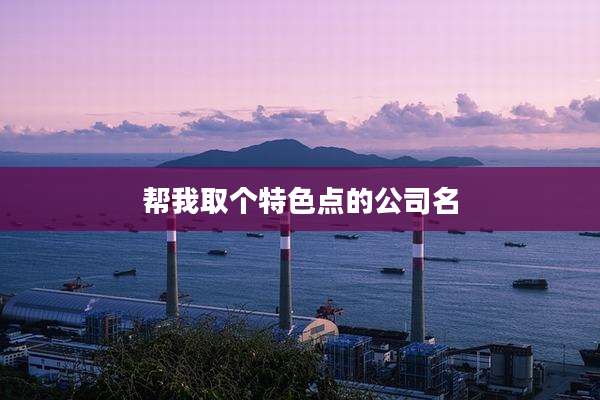 帮我取个特色点的公司名