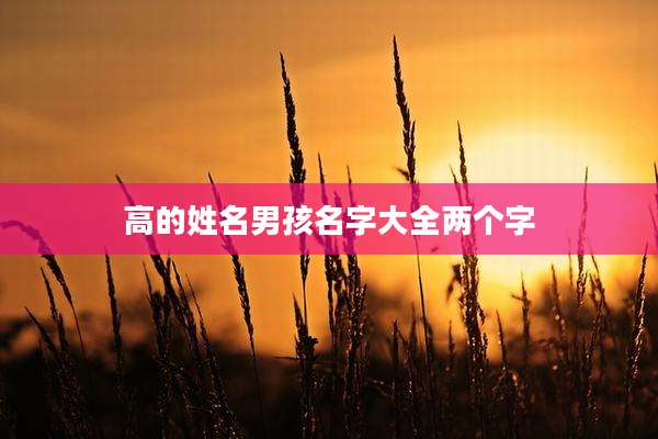 高的姓名男孩名字大全两个字