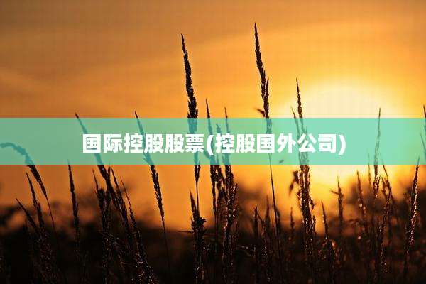 国际控股股票(控股国外公司)