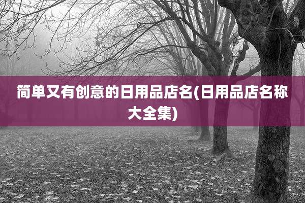 简单又有创意的日用品店名(日用品店名称大全集)