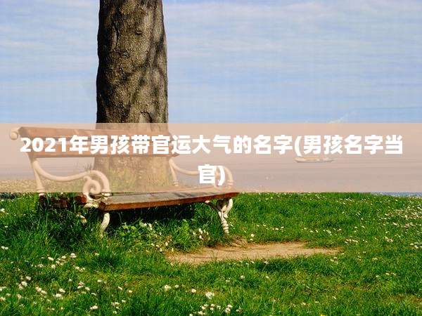 2021年男孩带官运大气的名字(男孩名字当官)