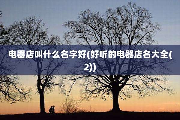 电器店叫什么名字好(好听的电器店名大全(2))