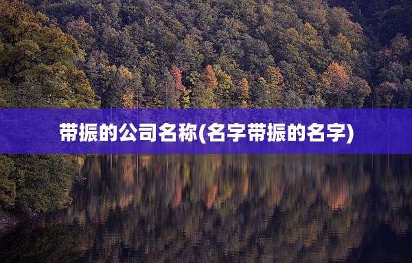 带振的公司名称(名字带振的名字)