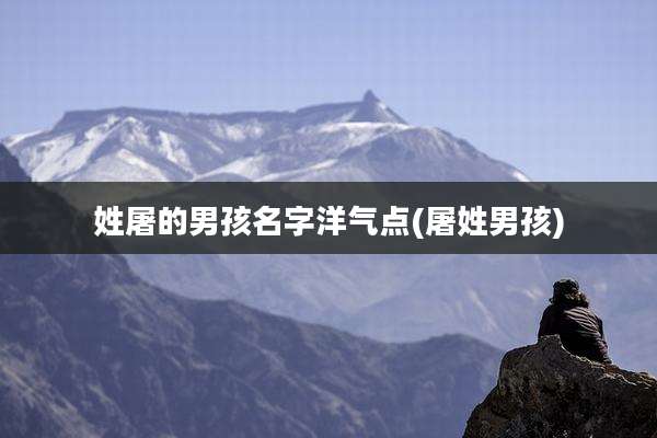 姓屠的男孩名字洋气点(屠姓男孩)