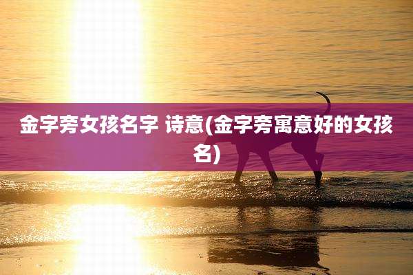 金字旁女孩名字 诗意(金字旁寓意好的女孩名)