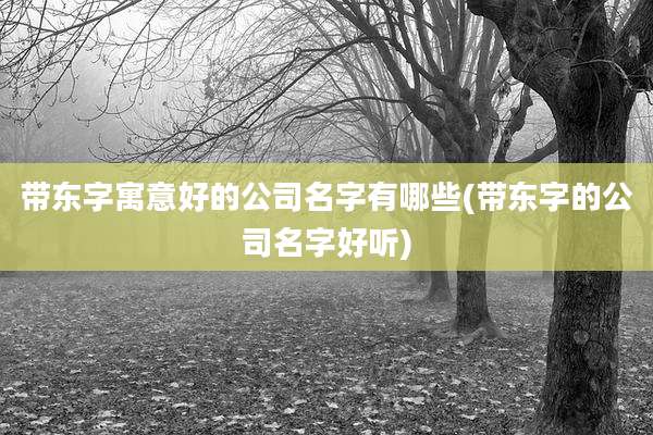 带东字寓意好的公司名字有哪些(带东字的公司名字好听)