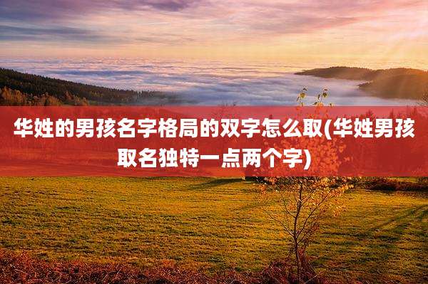 华姓的男孩名字格局的双字怎么取(华姓男孩取名独特一点两个字)