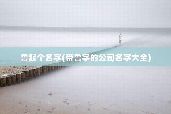 鲁起个名字(带鲁字的公司名字大全)