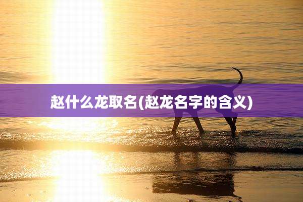 赵什么龙取名(赵龙名字的含义)