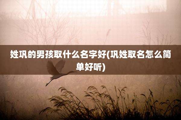 姓巩的男孩取什么名字好(巩姓取名怎么简单好听)