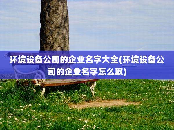 环境设备公司的企业名字大全(环境设备公司的企业名字怎么取)