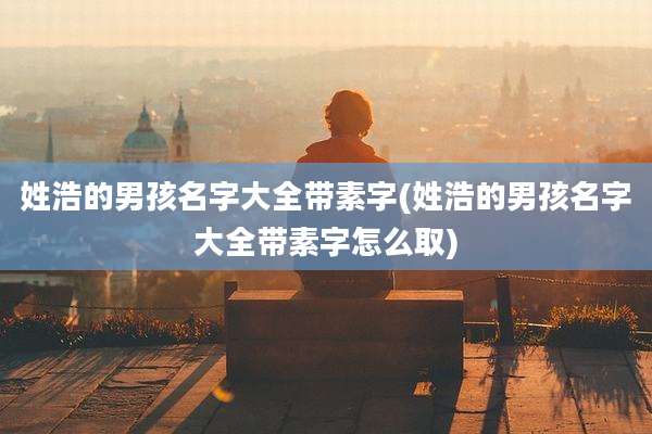 姓浩的男孩名字大全带素字(姓浩的男孩名字大全带素字怎么取)