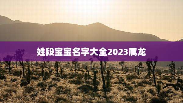 姓段宝宝名字大全2023属龙