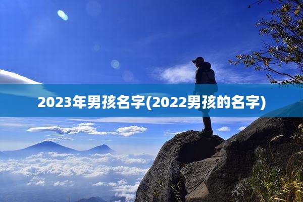 2023年男孩名字(2022男孩的名字)