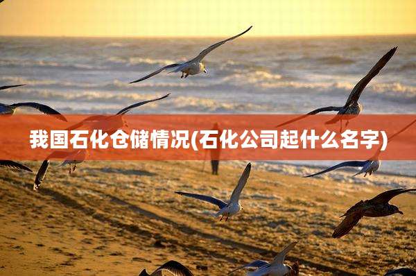 我国石化仓储情况(石化公司起什么名字)