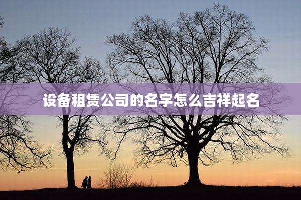 设备租赁公司的名字怎么吉祥起名