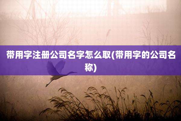 带用字注册公司名字怎么取(带用字的公司名称)