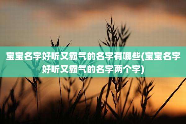 宝宝名字好听又霸气的名字有哪些(宝宝名字好听又霸气的名字两个字)