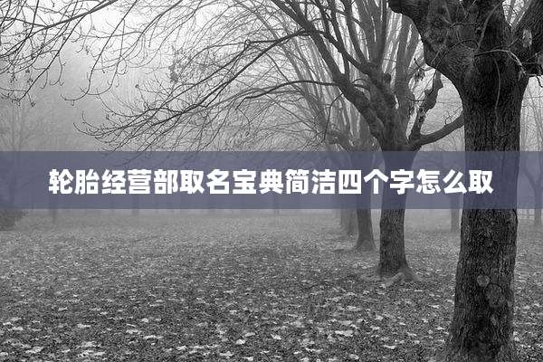 轮胎经营部取名宝典简洁四个字怎么取