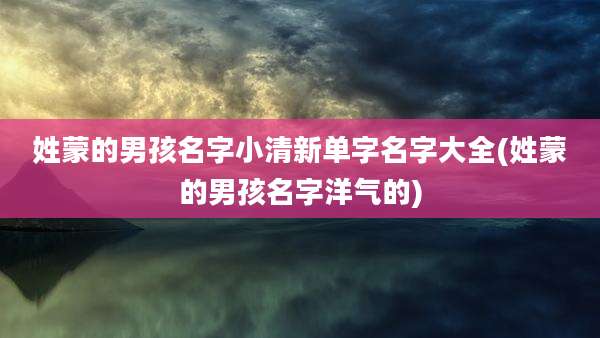 姓蒙的男孩名字小清新单字名字大全(姓蒙的男孩名字洋气的)