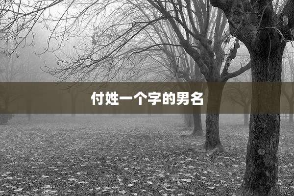 付姓一个字的男名