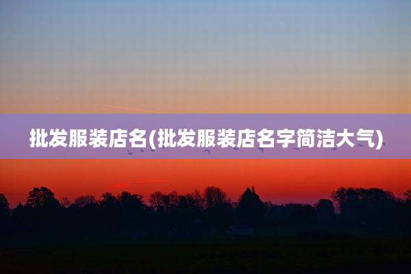 批发服装店名(批发服装店名字简洁大气)