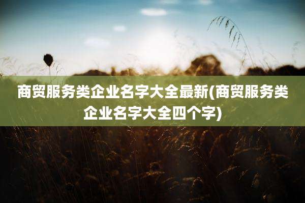 商贸服务类企业名字大全最新(商贸服务类企业名字大全四个字)