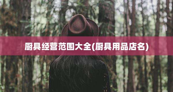 厨具经营范围大全(厨具用品店名)