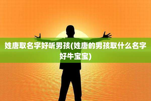 姓唐取名字好听男孩(姓唐的男孩取什么名字好牛宝宝)